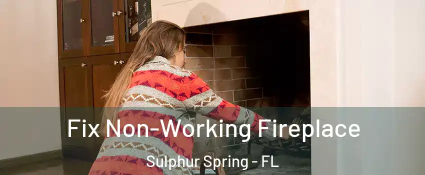 Fix Non-Working Fireplace Sulphur Spring - FL