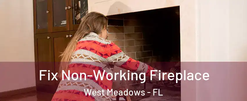 Fix Non-Working Fireplace West Meadows - FL