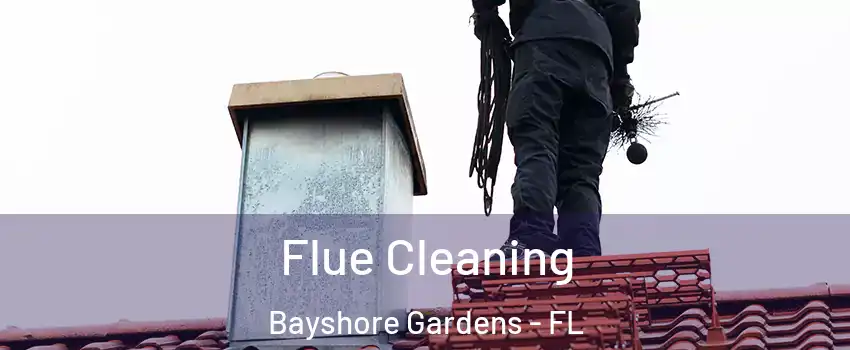 Flue Cleaning Bayshore Gardens - FL