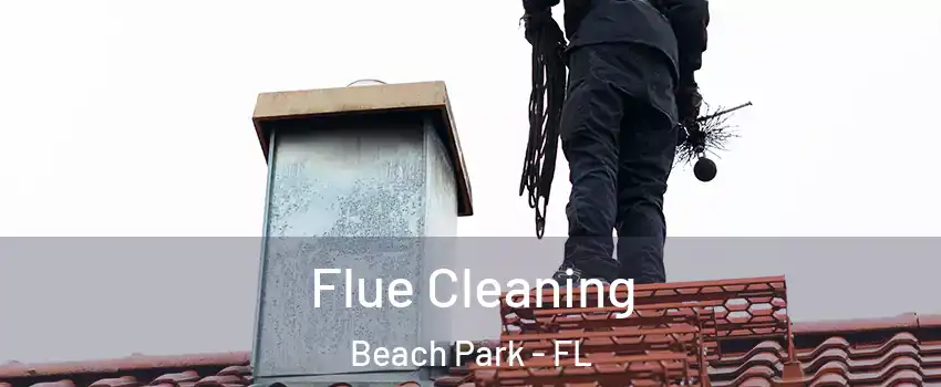 Flue Cleaning Beach Park - FL