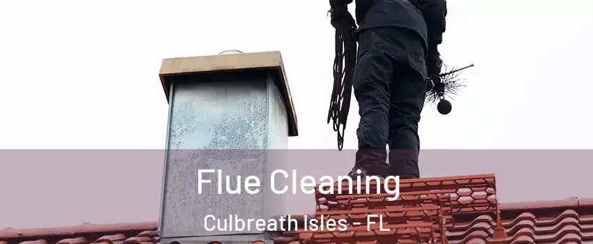 Flue Cleaning Culbreath Isles - FL