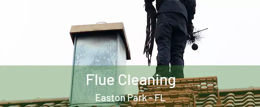 Flue Cleaning Easton Park - FL