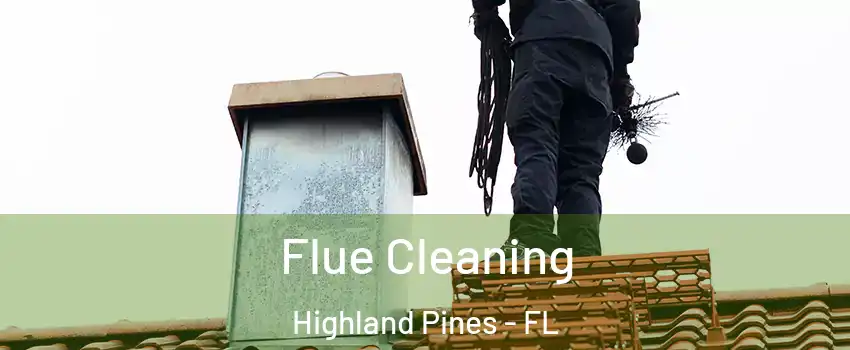 Flue Cleaning Highland Pines - FL