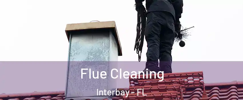 Flue Cleaning Interbay - FL