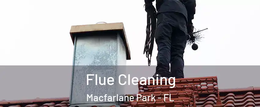 Flue Cleaning Macfarlane Park - FL