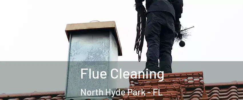 Flue Cleaning North Hyde Park - FL