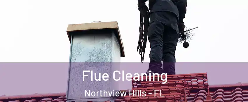 Flue Cleaning Northview Hills - FL