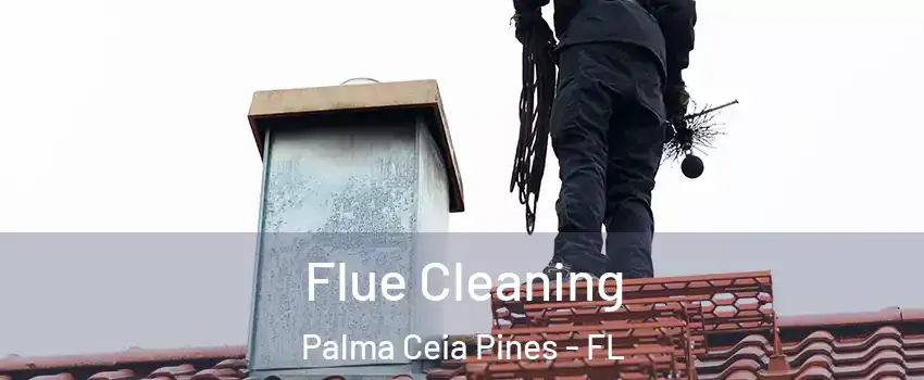 Flue Cleaning Palma Ceia Pines - FL
