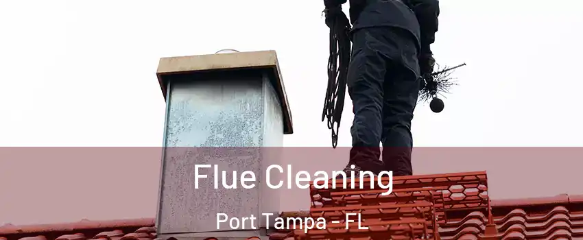 Flue Cleaning Port Tampa - FL