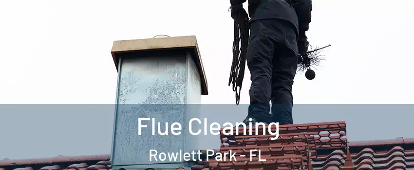 Flue Cleaning Rowlett Park - FL