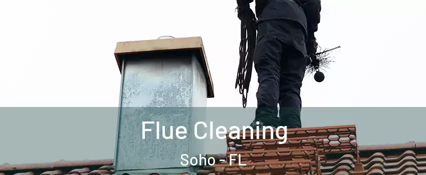 Flue Cleaning Soho - FL