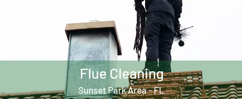 Flue Cleaning Sunset Park Area - FL