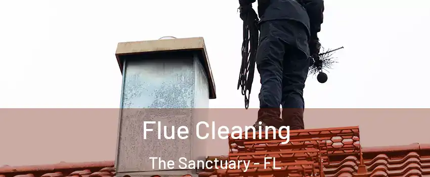 Flue Cleaning The Sanctuary - FL