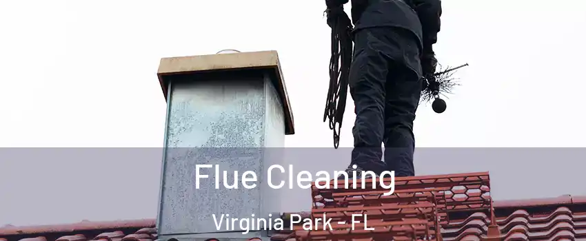 Flue Cleaning Virginia Park - FL