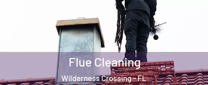 Flue Cleaning Wilderness Crossing - FL