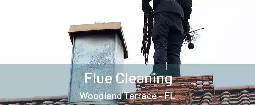 Flue Cleaning Woodland Terrace - FL