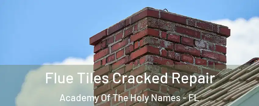 Flue Tiles Cracked Repair Academy Of The Holy Names - FL