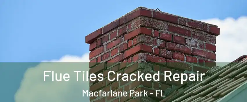 Flue Tiles Cracked Repair Macfarlane Park - FL
