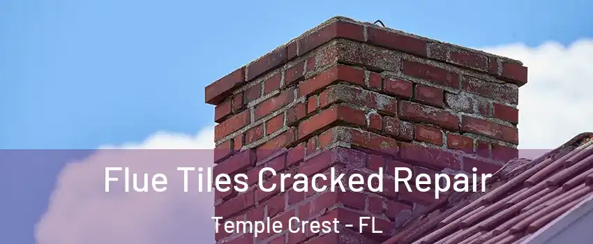 Flue Tiles Cracked Repair Temple Crest - FL