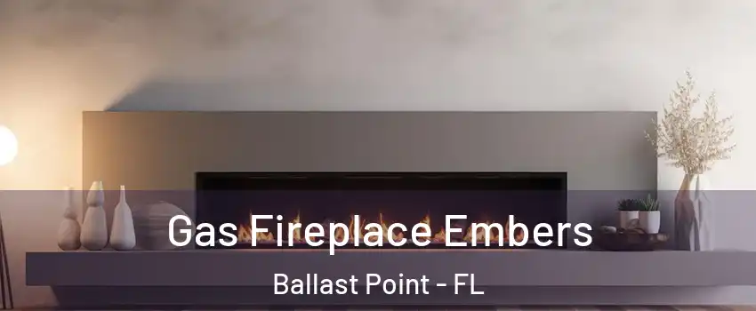Gas Fireplace Embers Ballast Point - FL