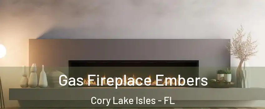 Gas Fireplace Embers Cory Lake Isles - FL