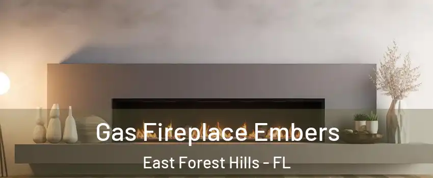 Gas Fireplace Embers East Forest Hills - FL
