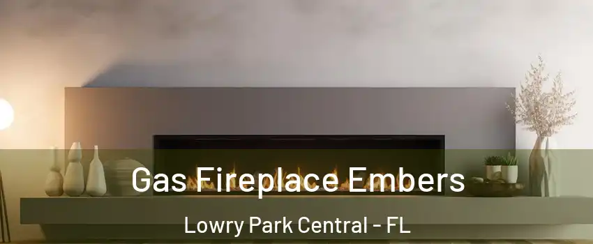 Gas Fireplace Embers Lowry Park Central - FL