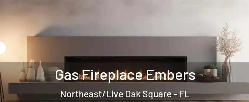 Gas Fireplace Embers Northeast/Live Oak Square - FL