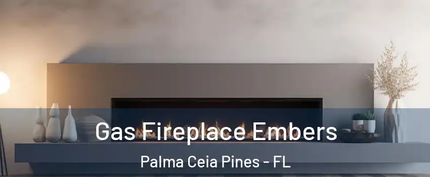 Gas Fireplace Embers Palma Ceia Pines - FL