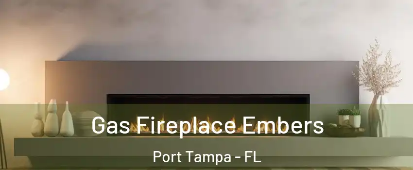 Gas Fireplace Embers Port Tampa - FL