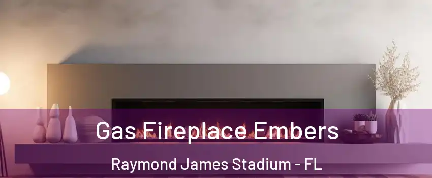 Gas Fireplace Embers Raymond James Stadium - FL