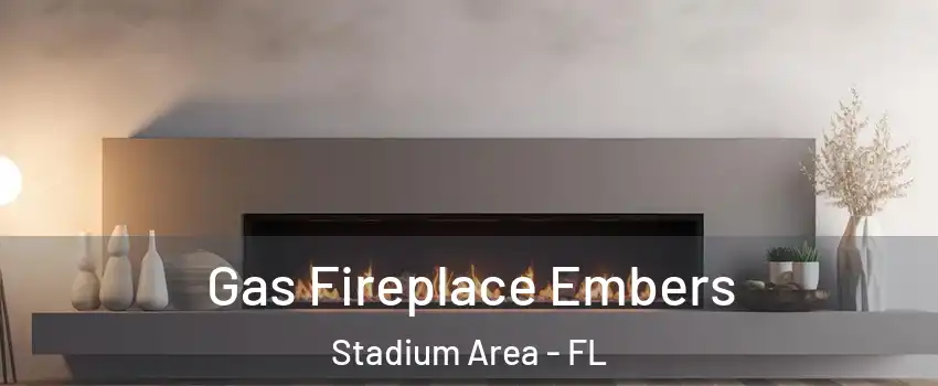 Gas Fireplace Embers Stadium Area - FL