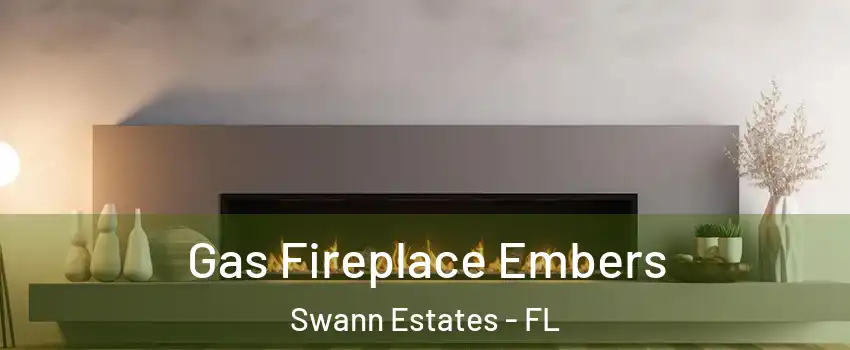 Gas Fireplace Embers Swann Estates - FL