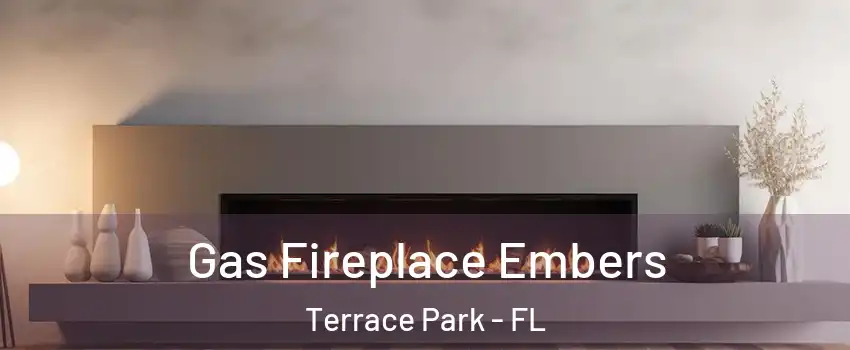 Gas Fireplace Embers Terrace Park - FL