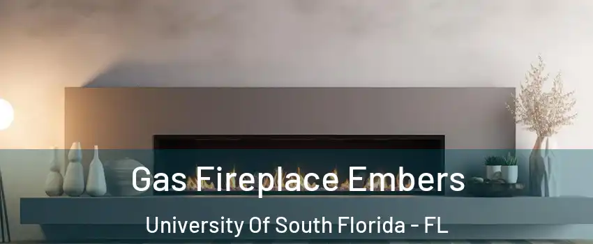 Gas Fireplace Embers University Of South Florida - FL