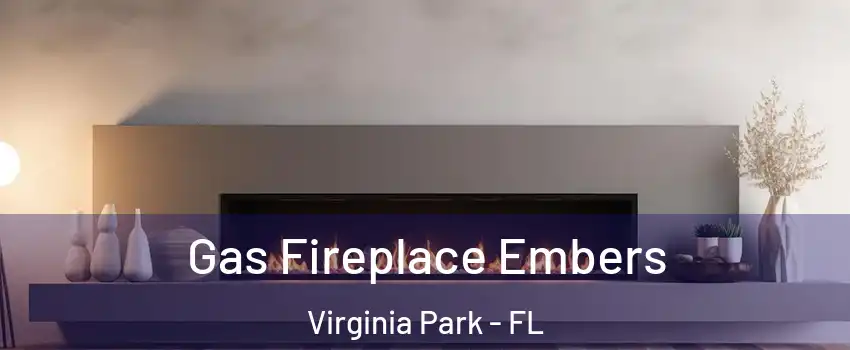 Gas Fireplace Embers Virginia Park - FL