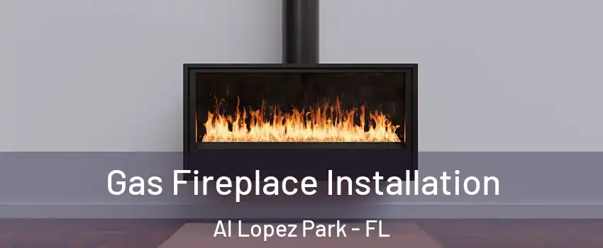 Gas Fireplace Installation Al Lopez Park - FL