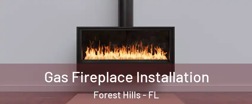 Gas Fireplace Installation Forest Hills - FL