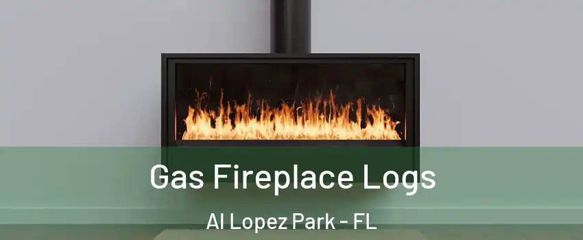 Gas Fireplace Logs Al Lopez Park - FL