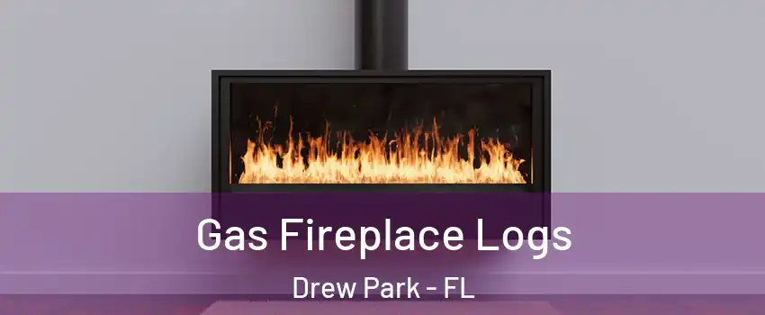 Gas Fireplace Logs Drew Park - FL