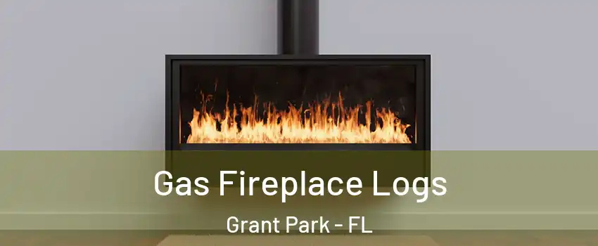 Gas Fireplace Logs Grant Park - FL