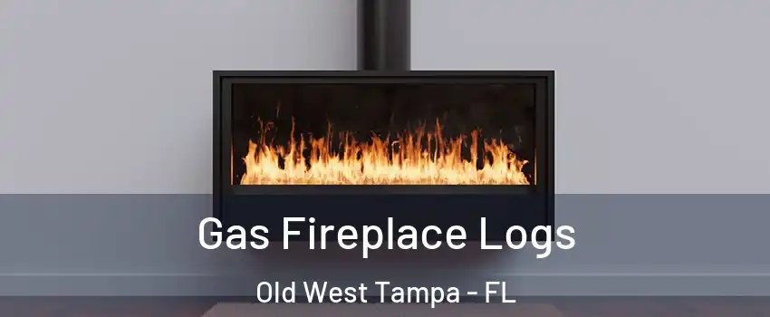 Gas Fireplace Logs Old West Tampa - FL
