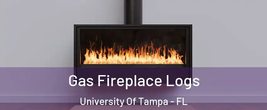 Gas Fireplace Logs University Of Tampa - FL