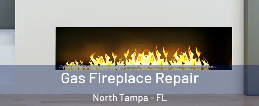 Gas Fireplace Repair North Tampa - FL