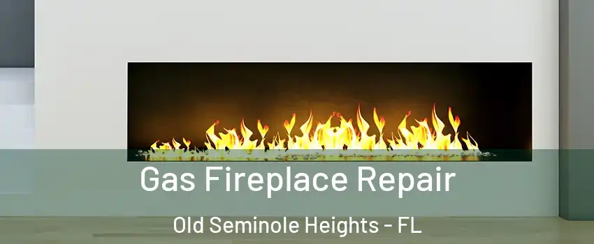 Gas Fireplace Repair Old Seminole Heights - FL
