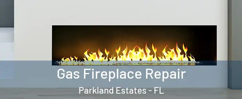 Gas Fireplace Repair Parkland Estates - FL