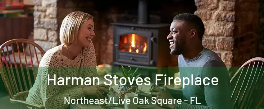Harman Stoves Fireplace Northeast/Live Oak Square - FL