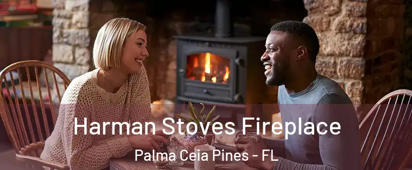 Harman Stoves Fireplace Palma Ceia Pines - FL