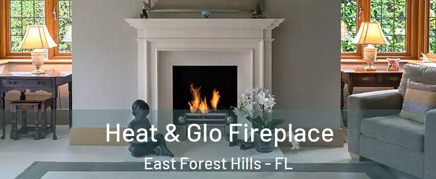 Heat & Glo Fireplace East Forest Hills - FL