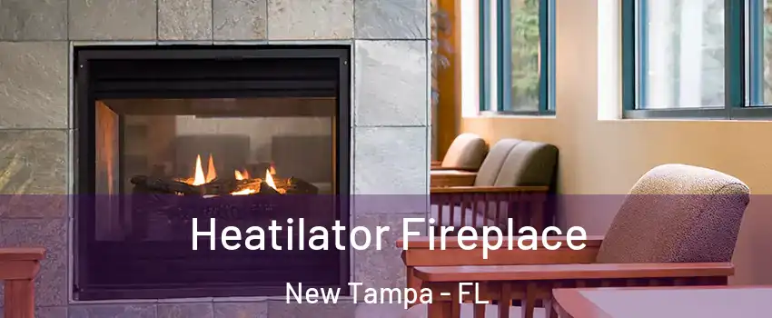 Heatilator Fireplace New Tampa - FL